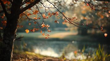 Scenic lakeside view, tranquil setting featuring autumn foliage and serene water reflections. Inviting nature escape. photo