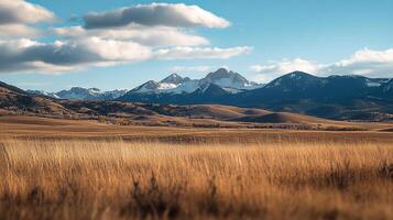 Vast golden grasslands meet majestic snow-capped mountains under a vibrant blue sky dotted with fluffy clouds, creating a serene landscape. photo