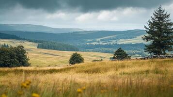 Expansive countryside vista featuring rolling hills, vibrant meadows, and scattered trees under an overcast sky, creating a serene landscape. photo