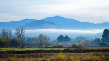 A serene landscape with misty lowlands in the background, distant mountains, and a tranquil sky above the scene, trees and shrubs. photo