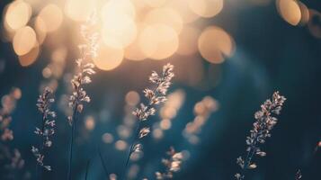 Sunlit grass with bokeh background creates a tranquil scene, blending warm light with cool tones for a calming effect, like a beautiful dream. photo