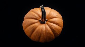 A single pumpkin on a black background photo