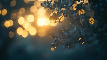 Dreamy bokeh lights softly illuminate a winter scene. A calming display of natural light and shadow in an ethereal composition. photo