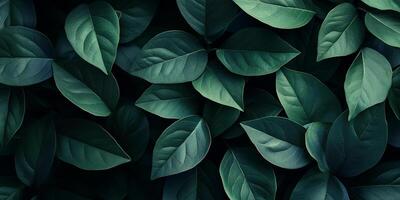 Lush green leaves create a calming and organic texture. Natural background of overlapping leaves evokes freshness and growth. photo