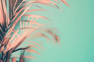 Aesthetic palm frond in pastel pink, set against a teal backdrop. Perfect for adding a touch of tropical calm to any digital space. photo
