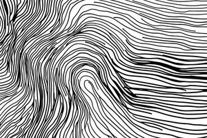 Monochrome abstract pattern with flowing lines and curves resembling topographic contour lines in black and white. Graphic element design photo