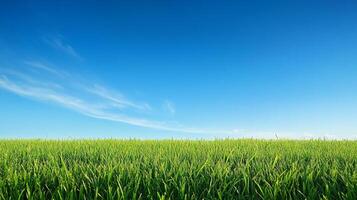 Vivid green grass stretches toward a bright blue sky with wispy clouds, symbolizing nature's serene simplicity and boundless open space. photo