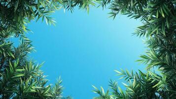 Green foliage frames a vibrant blue sky, creating a serene and natural border. Light filters through the leaves, highlighting their textures. photo