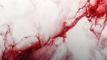Elegant fluid art featuring swirling patterns of deep red pigments diffused across a bright white background, creating a sense of abstract motion. photo