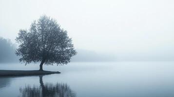 A solitary tree stands serenely on the water's edge, its reflection mirrored in the calm surface, shrouded in a thick, ethereal mist. photo