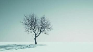 A stark tree stands alone in a desolate snowfield, casting long shadows under a muted sky. Winter's grip defines this serene landscape. photo