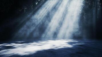 Sunlight breaking through the trees, illuminating a foggy forest floor with its enchanting light. A moment of serene and ethereal beauty. photo