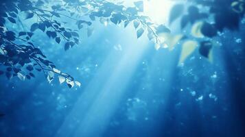 Sunlight filters through leaves in a calming blue light, creating a serene and magical atmosphere in a forest setting. photo