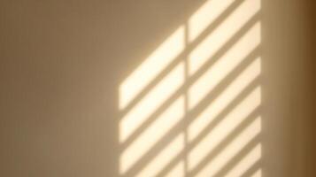 The image displays a close-up shot of light and shadow playing on a plain wall, creating a calming and tranquil atmosphere in the room. photo