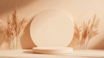 Elegant presentation stage with a circular backdrop and light peach color, featuring tall dried grasses and a minimalist aesthetic. photo