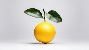A single lemon with leaves on it photo