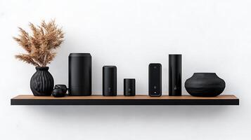 A shelf with black and white vases and a plant photo