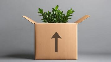A plant in a cardboard box with an arrow pointing to it photo
