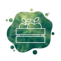 Fruit crate line icon, apples in a box vector