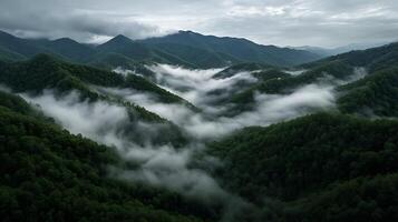 A view of the mountains and fog in the forest photo