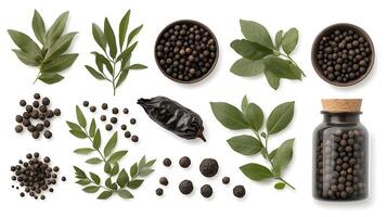 Various spices and herbs are arranged in a bowl photo