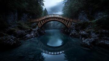 A bridge spanning over a river in the middle of a forest photo