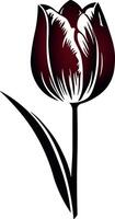 illustration of black and red tulip without background vector