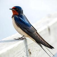 A swallow resting on a white railing, its blue feathers glistening in the sunlight, showcasing detailed wing patterns and sharp features photo