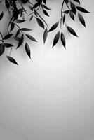 Black leaves cast shadows on a light gray background photo