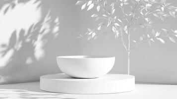 Minimalist bowl and plant display in bright white setting photo