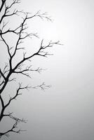 Silhouetted branches against a foggy background in winter photo