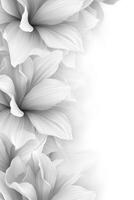 Elegant white flowers arranged gracefully on a soft background photo