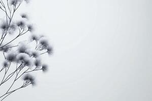 Delicate plant silhouette against a soft gray background photo