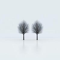 Two bare trees reflect on calm white landscape during winter photo
