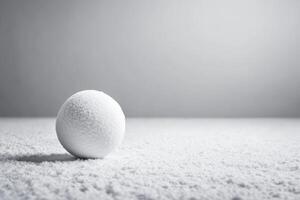 Snowball rests gently on a snowy surface in soft light photo