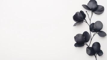 Black leaves elegantly arranged on a minimalistic white backdrop photo