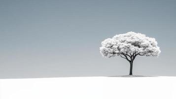 Solitary tree stands serene in winter landscape of soft snow photo