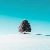 Lonely evergreen tree stands tall on a snowy hill under clear sky photo