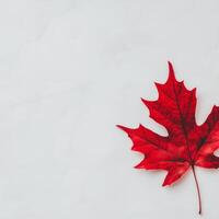 Vibrant red maple leaf on a light marble surface shines brightly photo