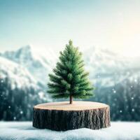 Winter landscape featuring a tree on a wooden stump photo
