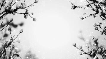 Winter landscape with frosted branches and soft white background photo