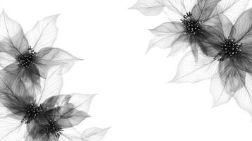Artistic black and white floral arrangement on white background photo