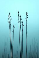 Silhouetted plants emerge against a serene blue background photo