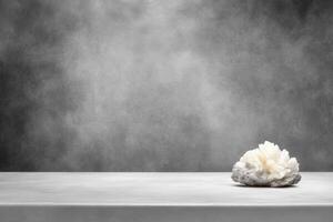 Elegant white mineral on gray background in minimalist setting photo