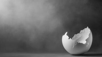 Broken eggshell on a dark surface with foggy background photo