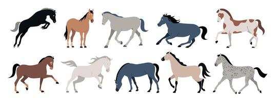 Set of horses of different breeds and colors in different poses. Running, galloping, calm. Animals, design, logo. flat illustration vector