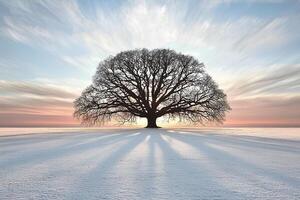 A serene winter landscape featuring a majestic oak tree silhouetted against the vibrant hues of a sunset sky, creating a peaceful and tranquil scene photo