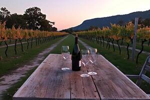 A picturesque scene of wine tasting in Provence, France, as the sun sets over vineyards, casting a warm glow on the landscape photo