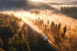 Stunning aerial view of a train winding through a forest, illuminated by the warm glow of the sunrise, capturing a peaceful and scenic moment photo