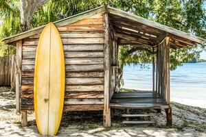 A rustic wooden hut with colorful surfboards on a sandy beach in Florida, USA, creating a perfect coastal scene for surf lovers. photo